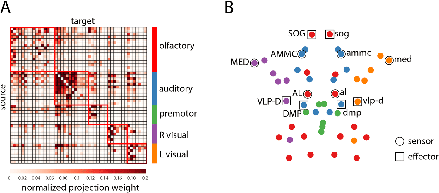 RESEARCH image