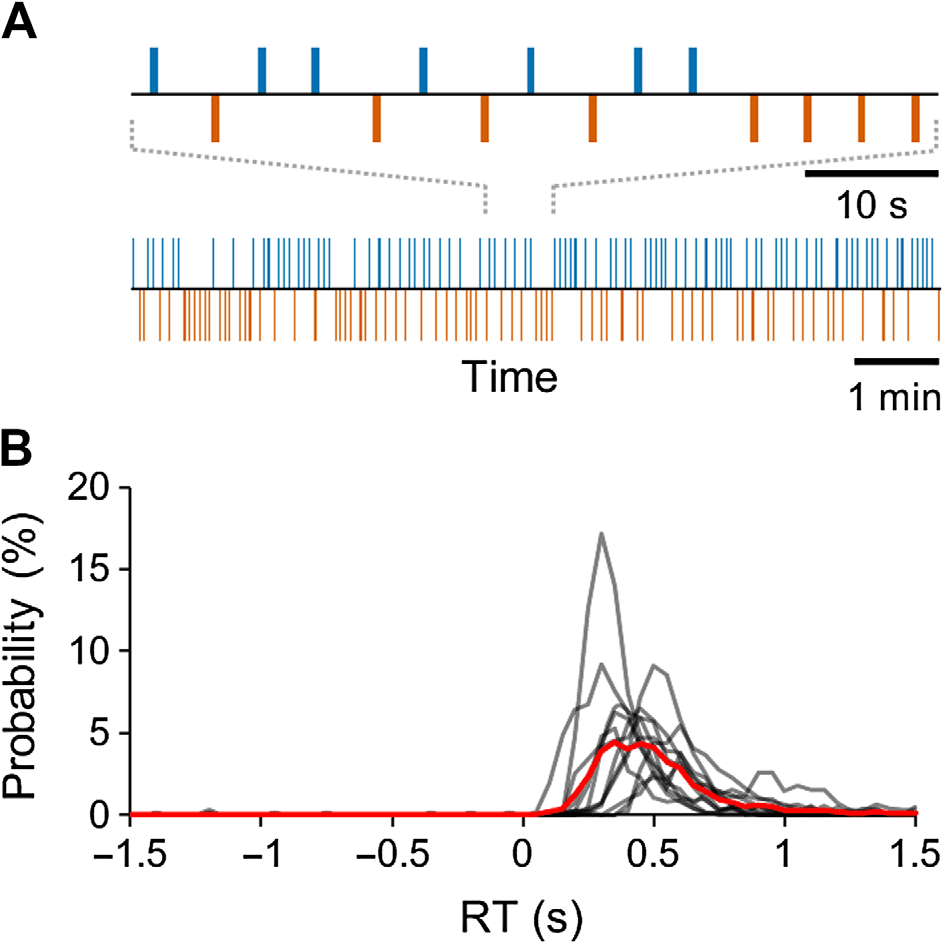 RESEARCH image