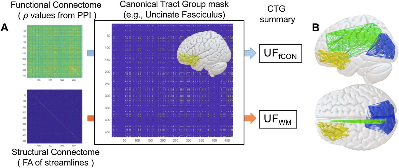 imagen de INVESTIGACIÓN