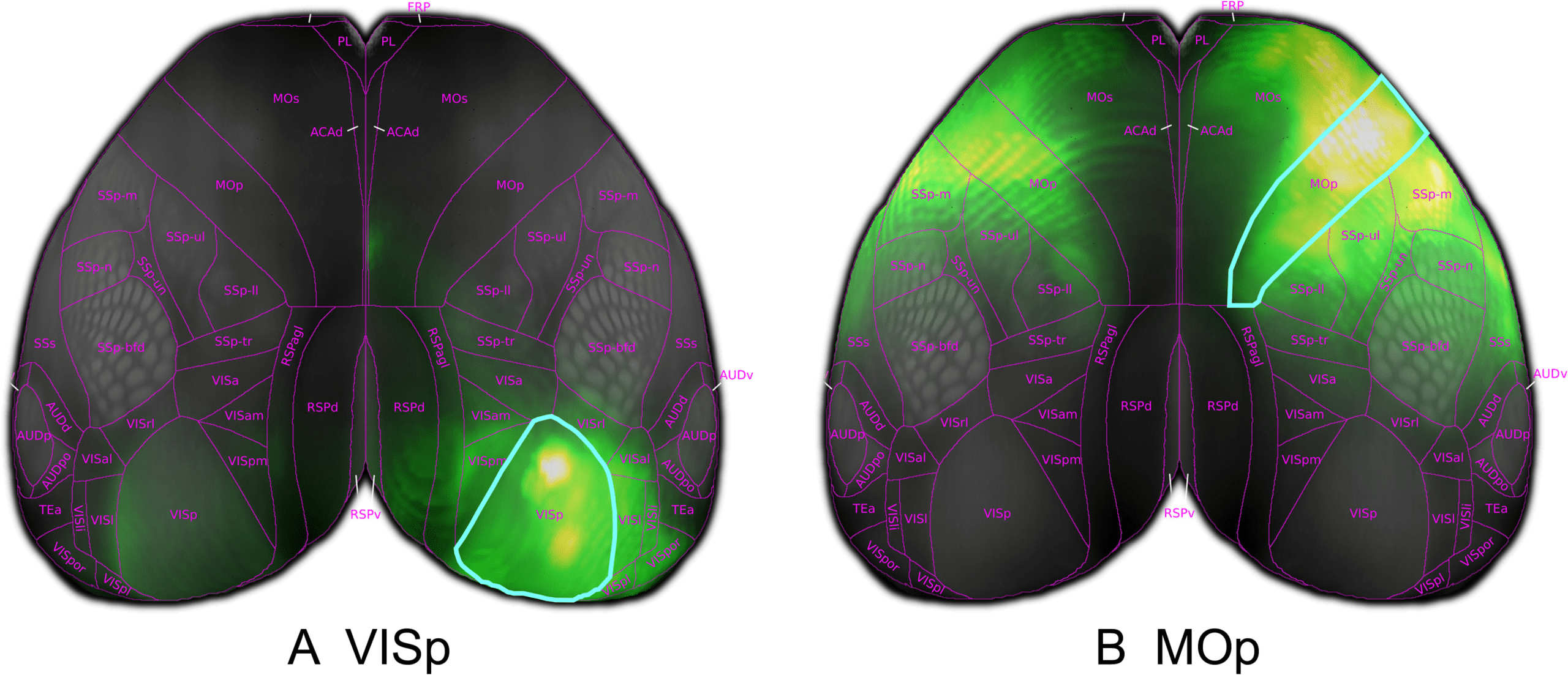 RESEARCH image