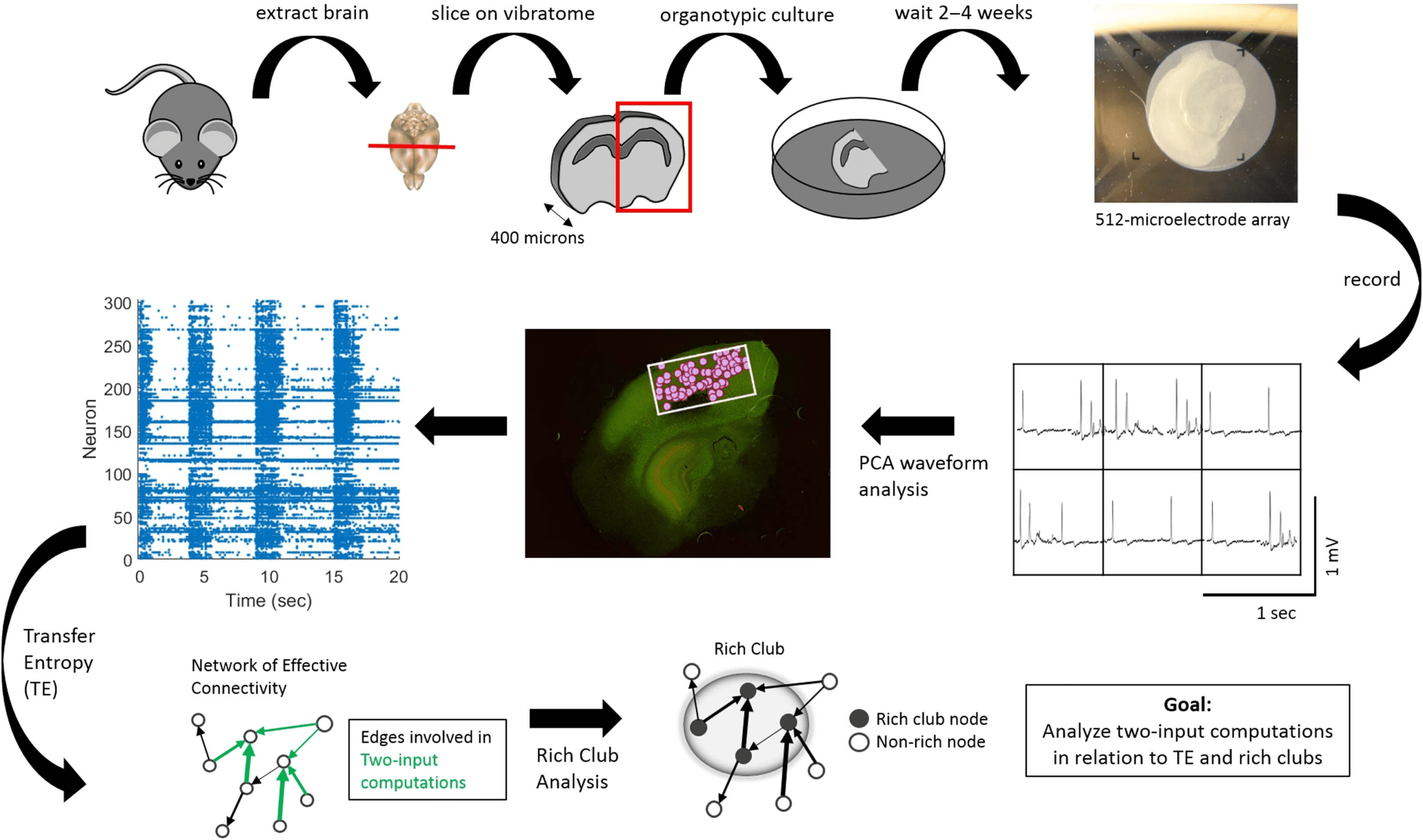 RESEARCH image