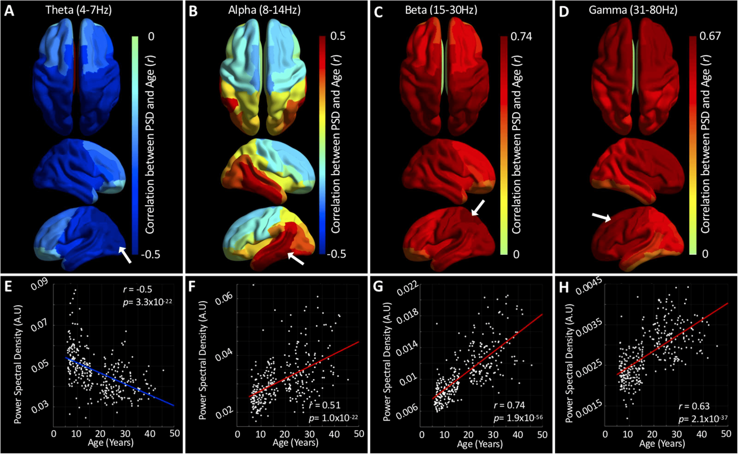 RESEARCH image