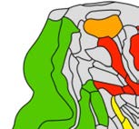 imagen de INVESTIGACIÓN