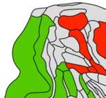 imagen de INVESTIGACIÓN