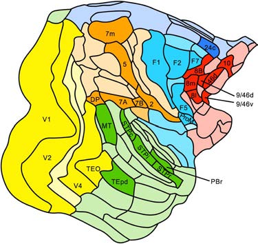 imagen de INVESTIGACIÓN