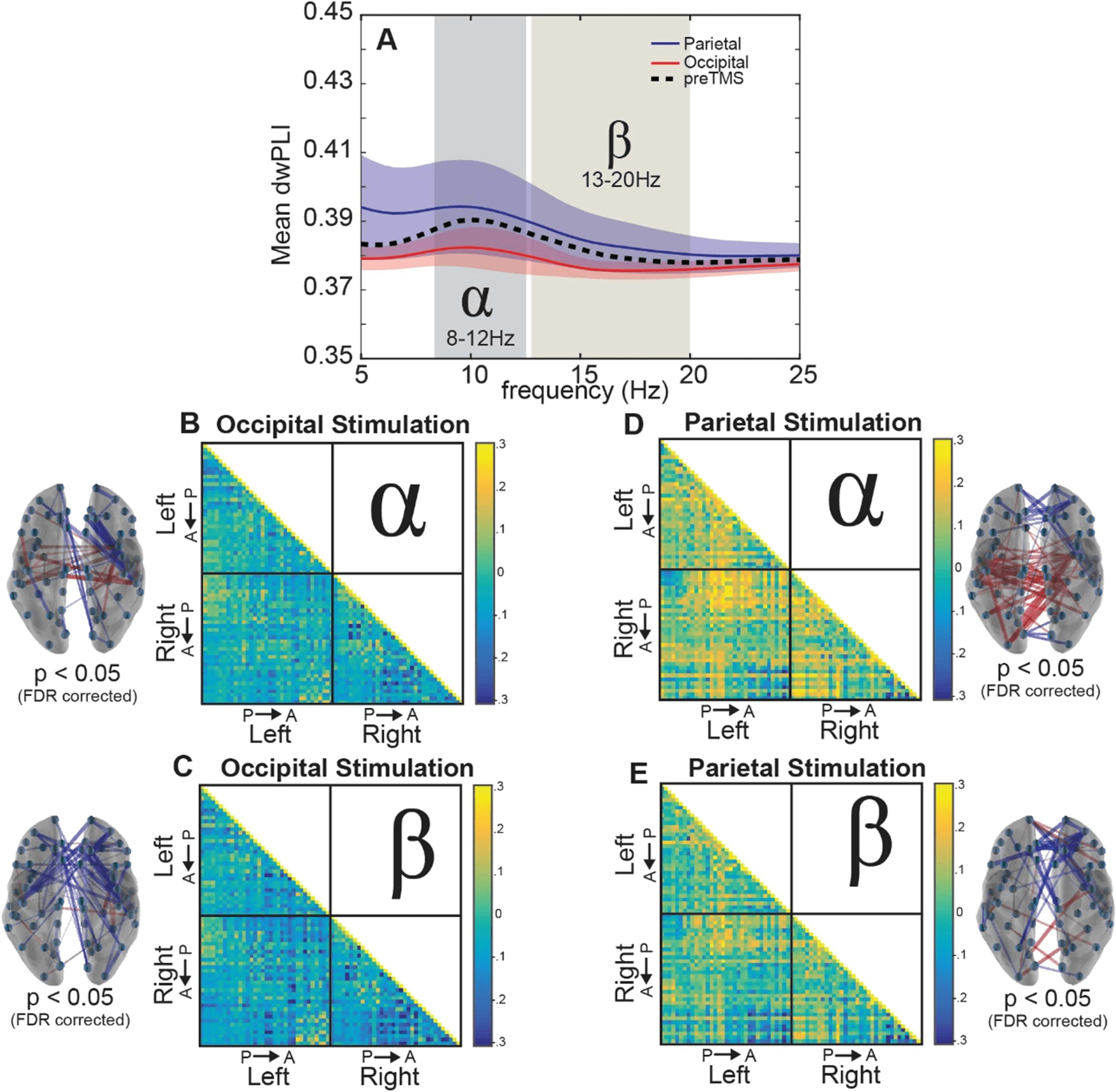 RESEARCH image