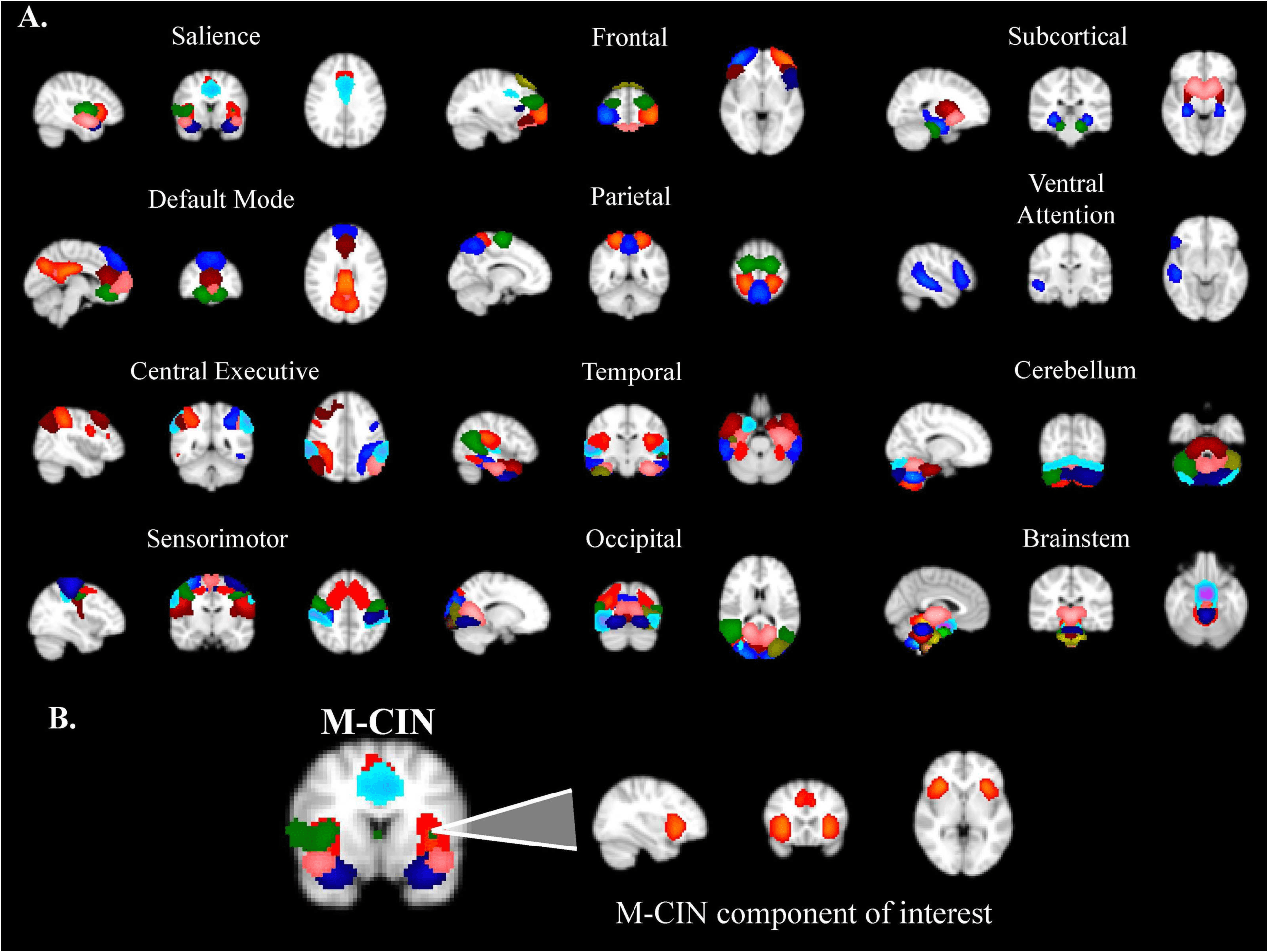 RESEARCH image