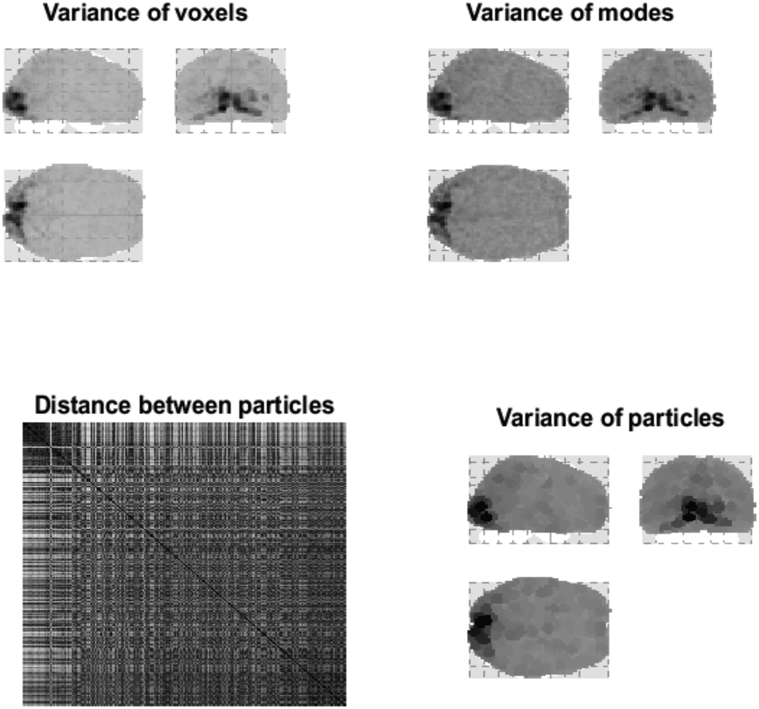 RESEARCH image