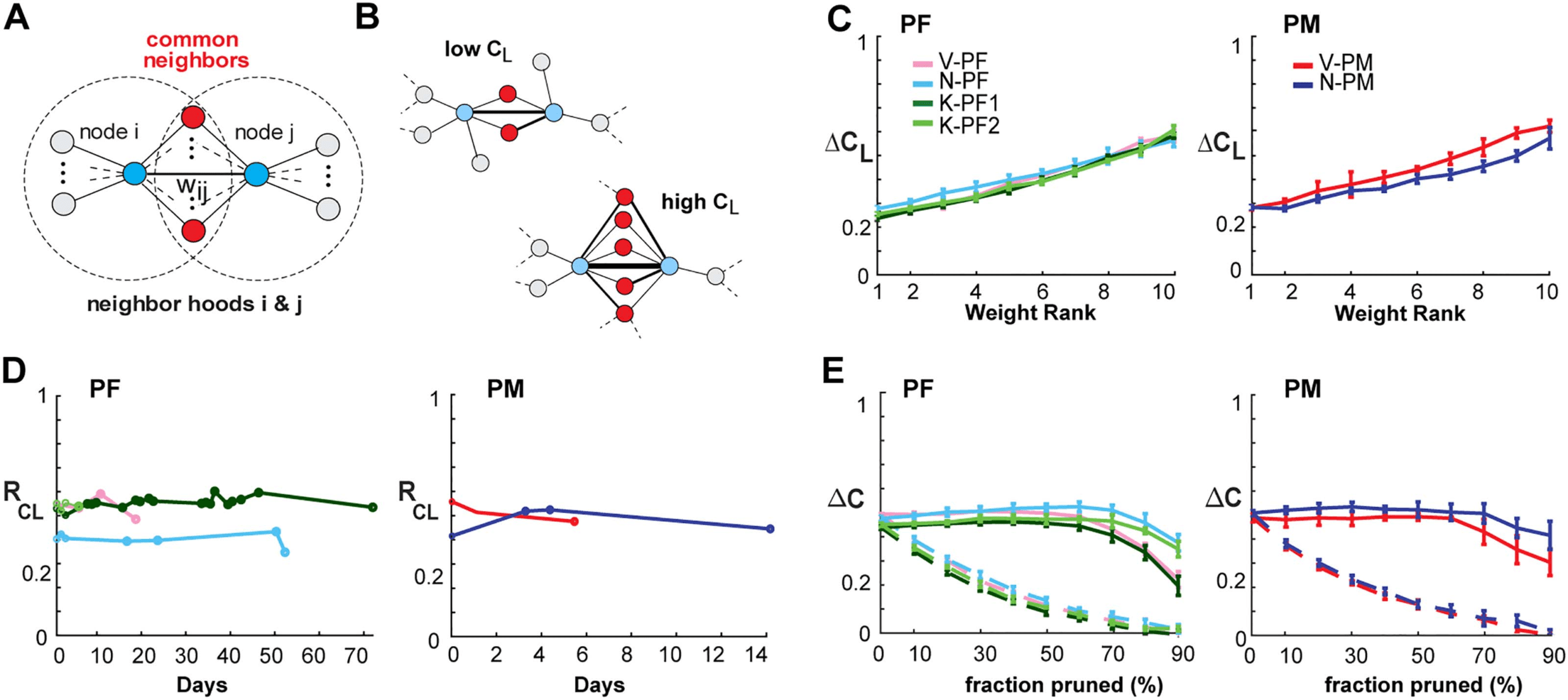 RESEARCH image