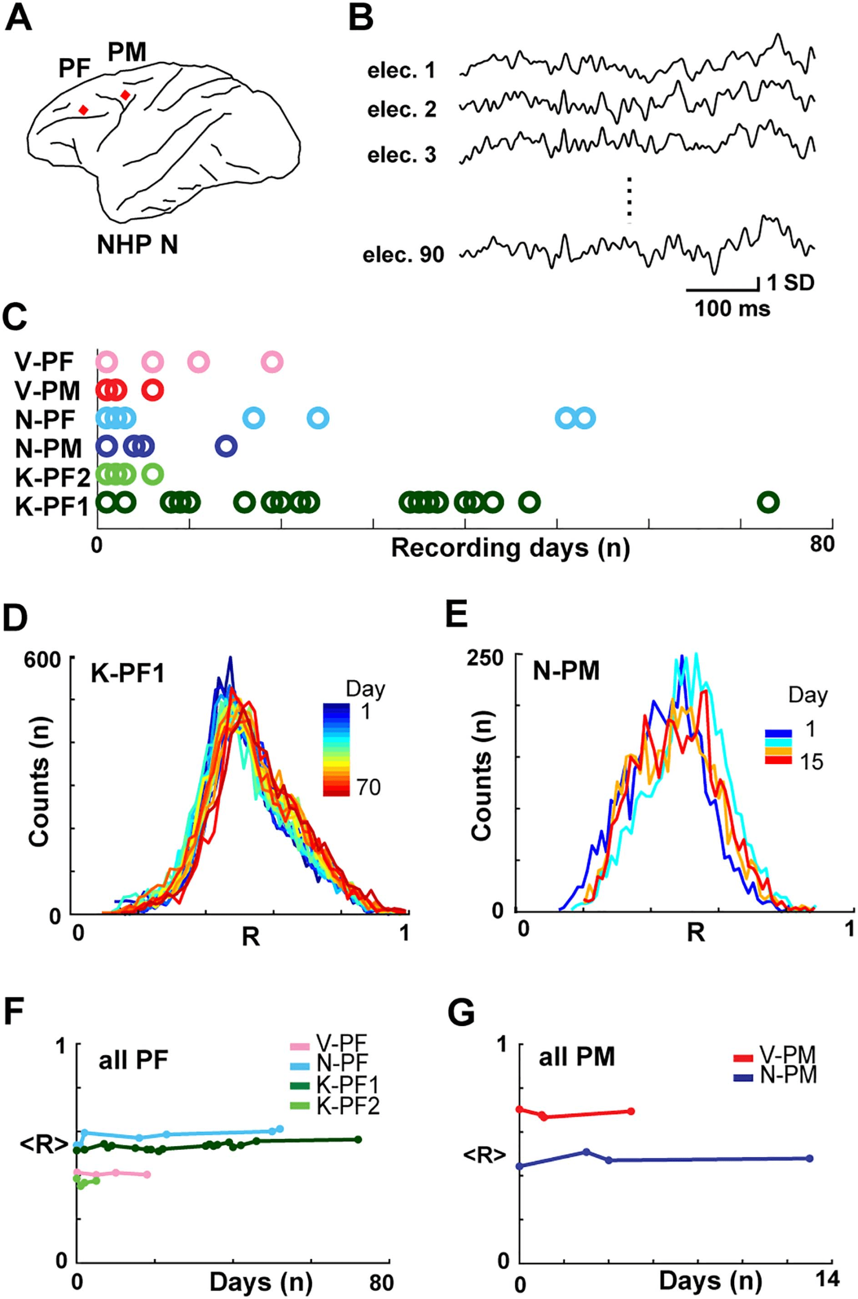 RESEARCH image