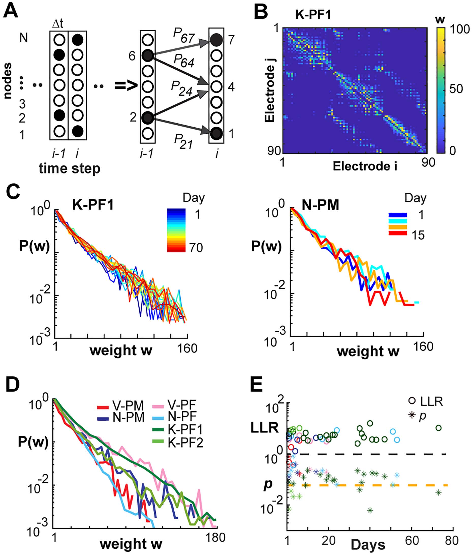 RESEARCH image