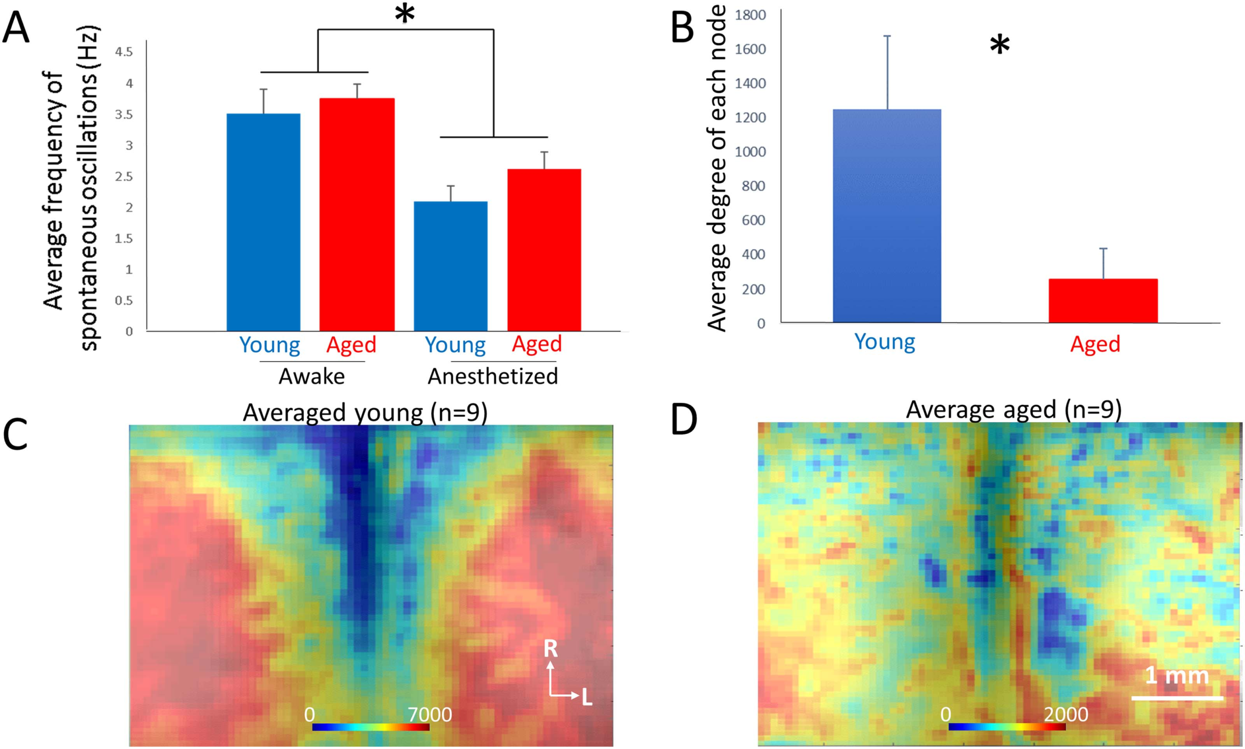 imagen de INVESTIGACIÓN