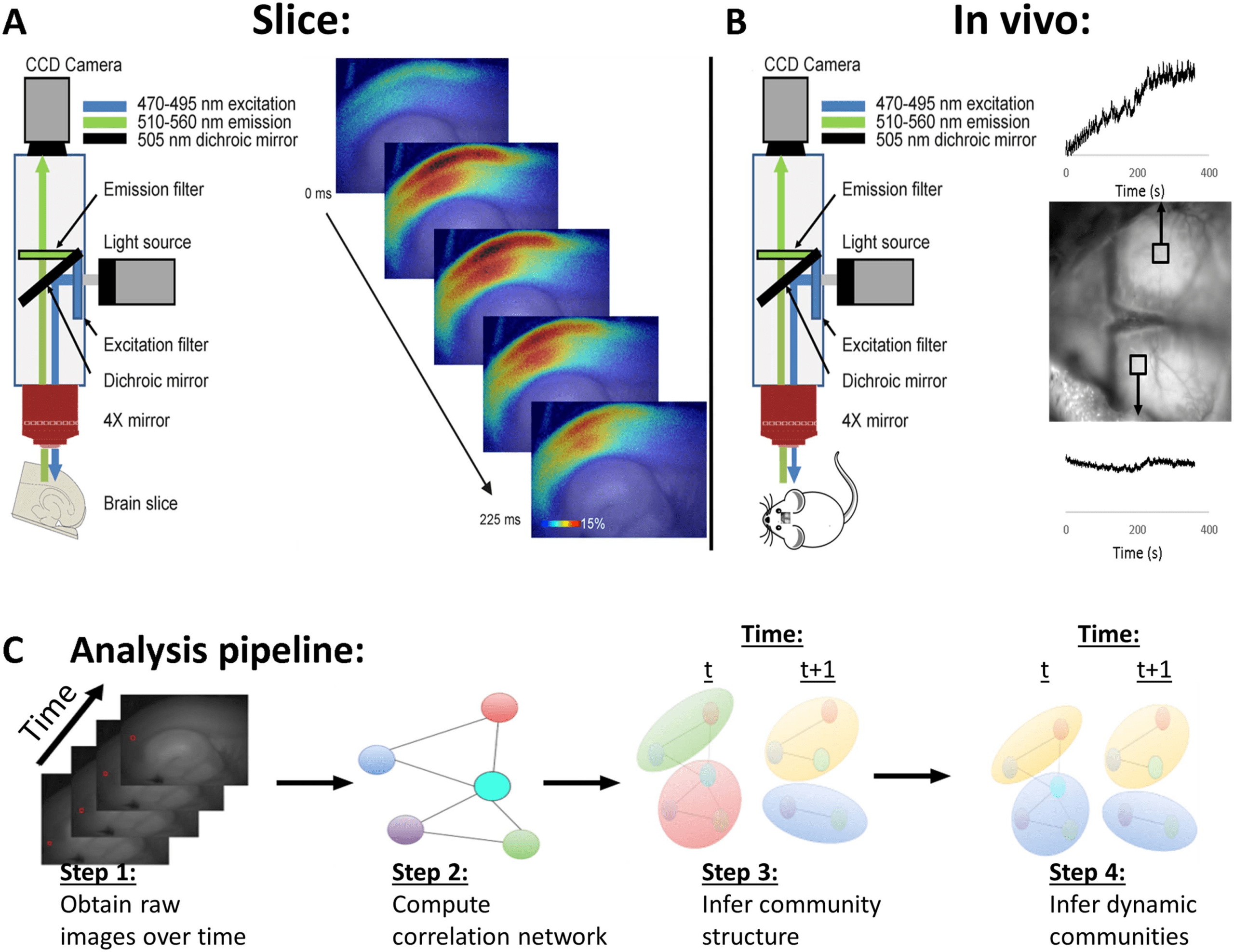 imagen de INVESTIGACIÓN