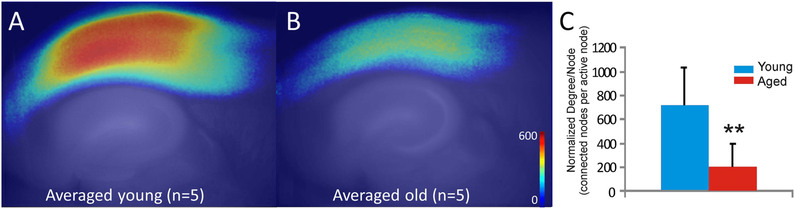 imagen de INVESTIGACIÓN