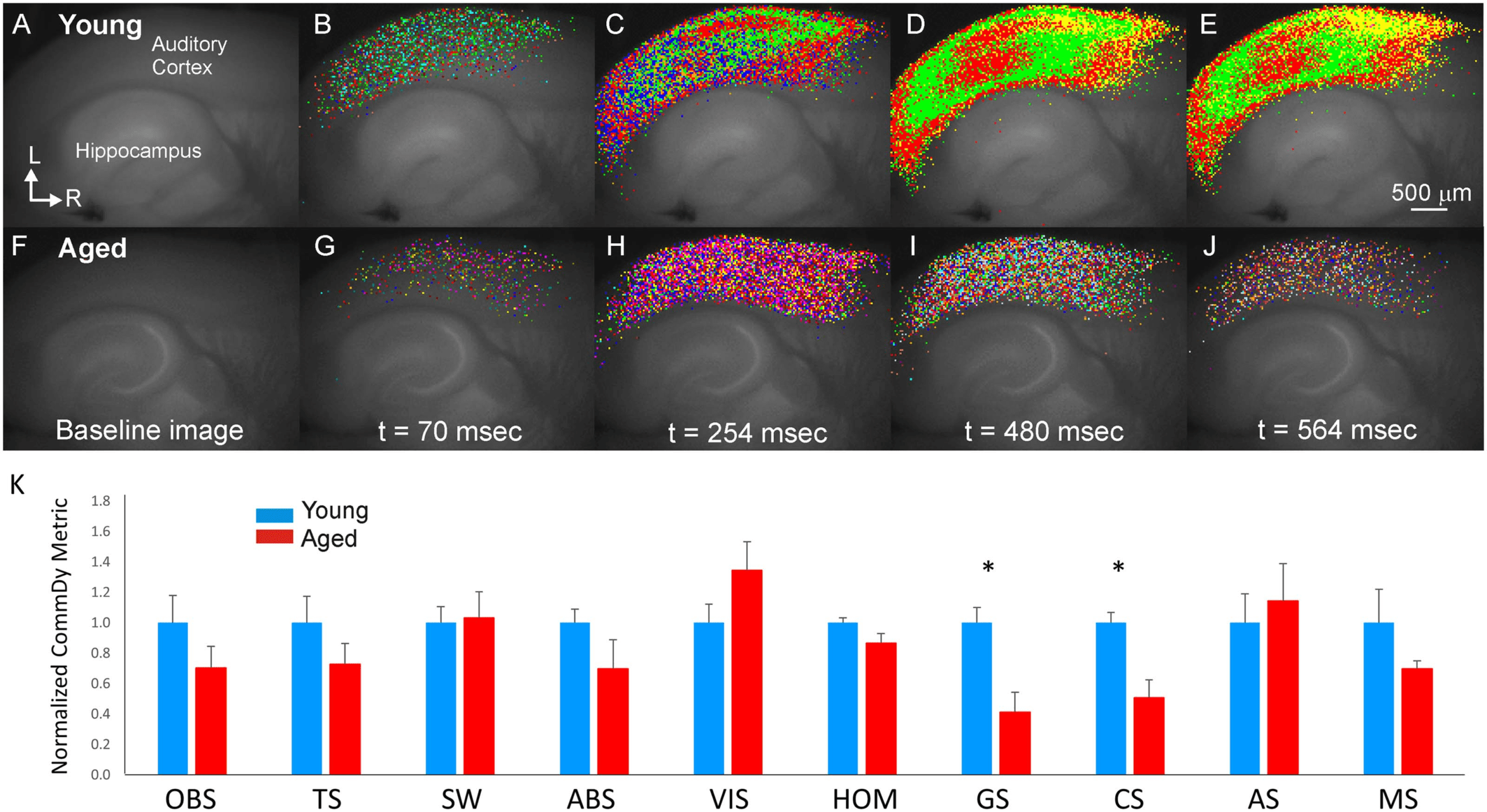 imagen de INVESTIGACIÓN