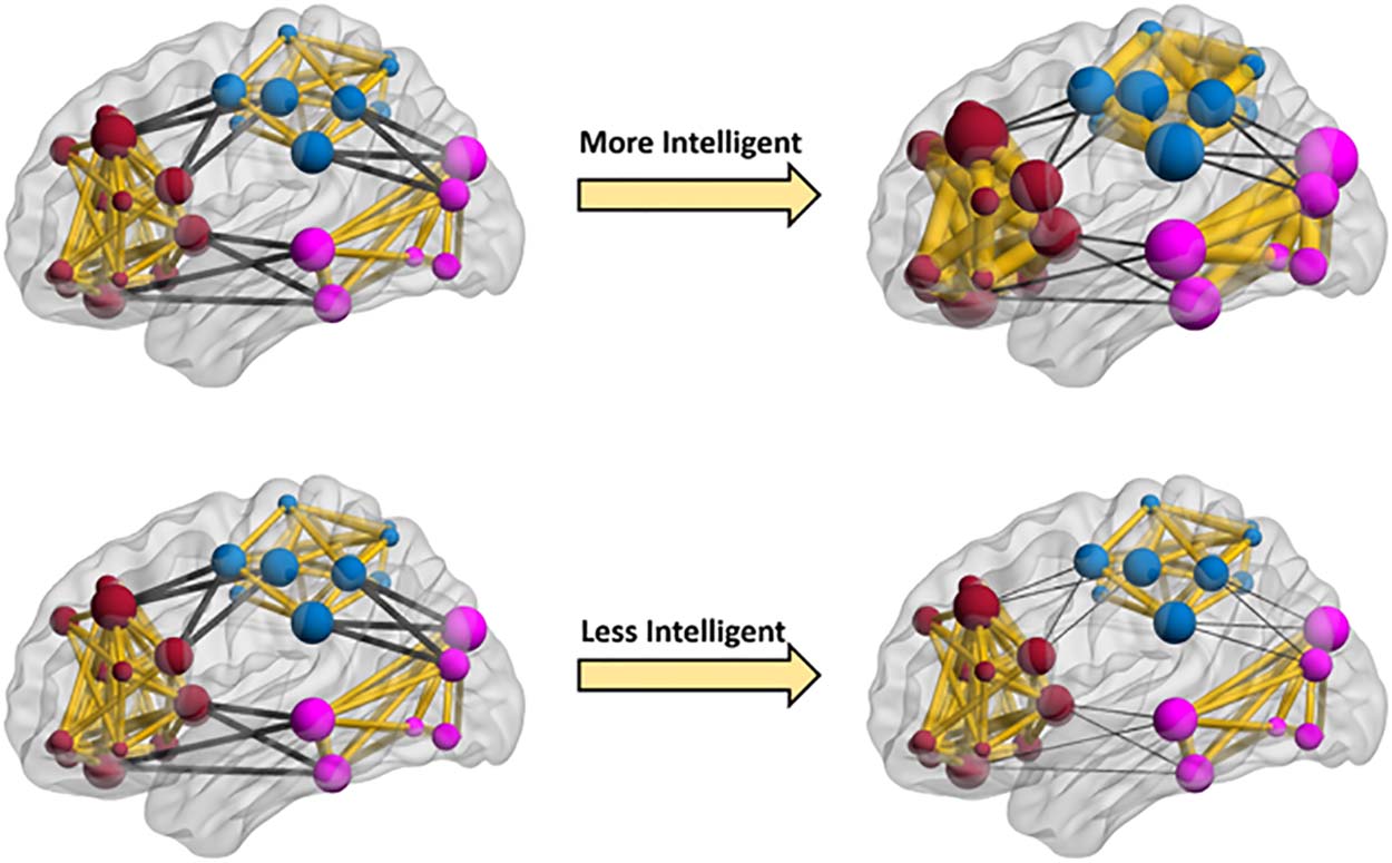 imagen de INVESTIGACIÓN