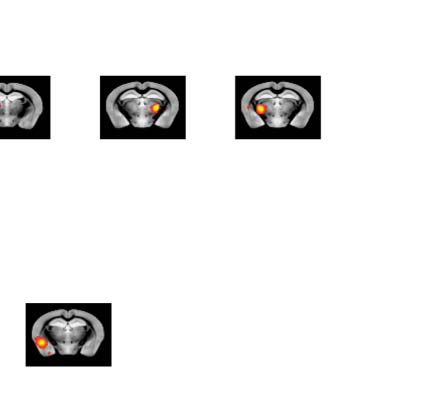 imagen de INVESTIGACIÓN