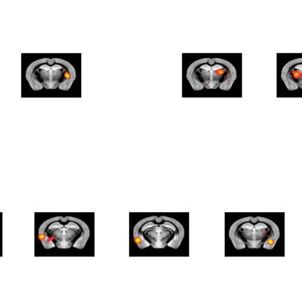 imagen de INVESTIGACIÓN