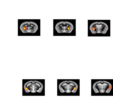 imagen de INVESTIGACIÓN