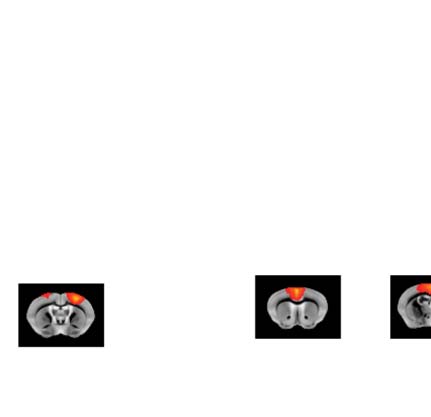 imagen de INVESTIGACIÓN