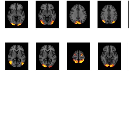 imagen de INVESTIGACIÓN