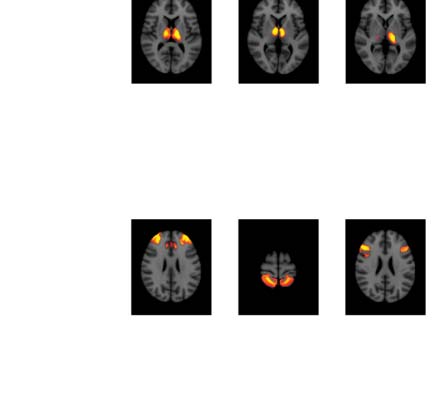 imagen de INVESTIGACIÓN