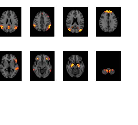 imagen de INVESTIGACIÓN