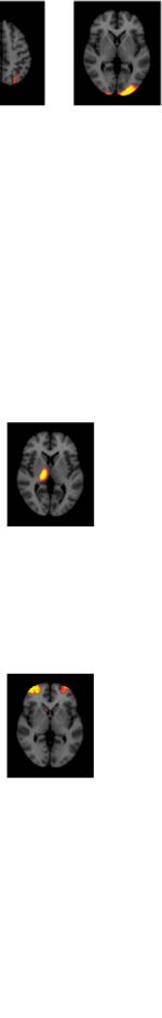 imagen de INVESTIGACIÓN