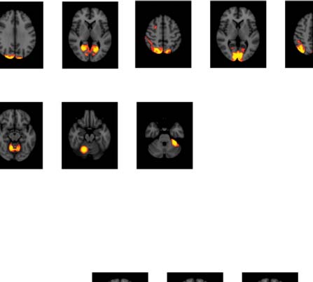 imagen de INVESTIGACIÓN