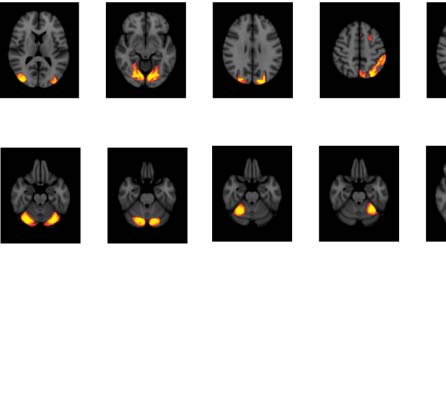 imagen de INVESTIGACIÓN