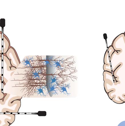 imagen de INVESTIGACIÓN