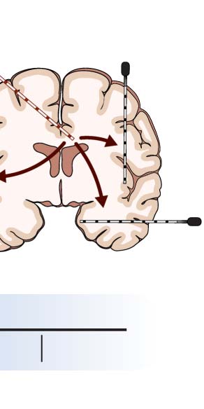 imagen de INVESTIGACIÓN