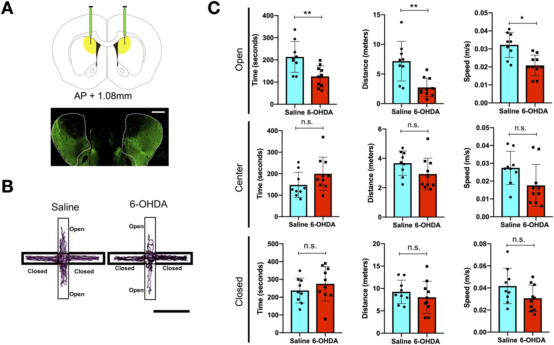 imagen de INVESTIGACIÓN