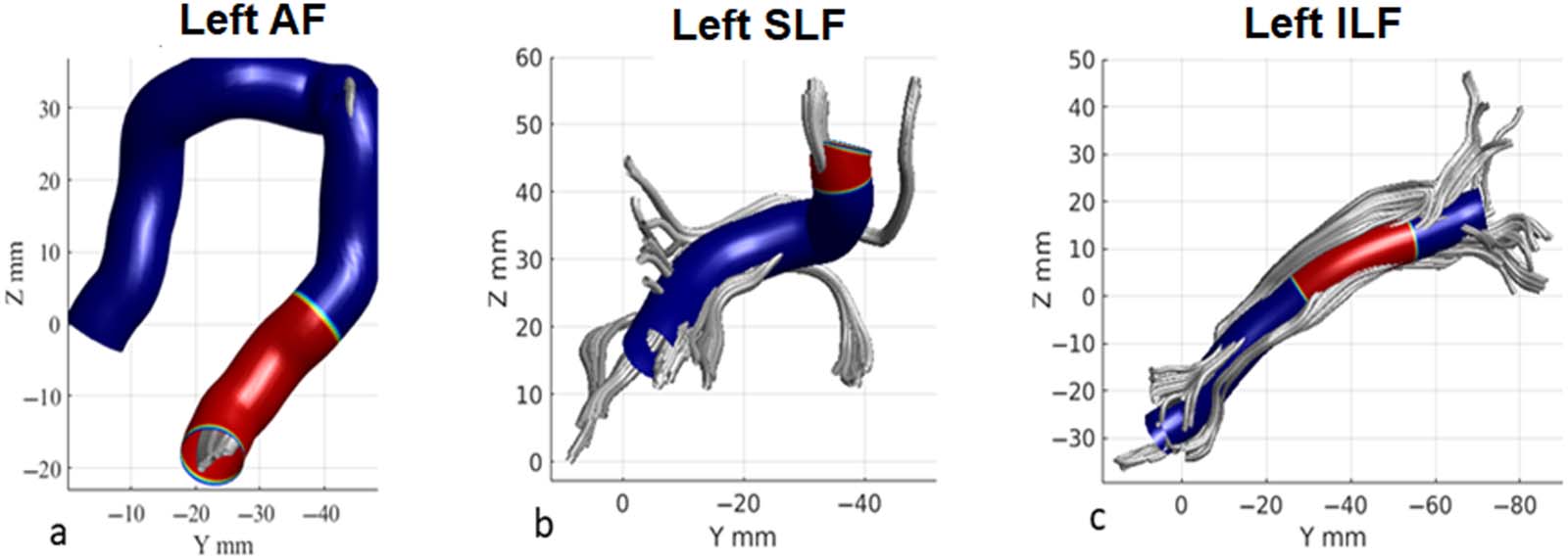 imagen de INVESTIGACIÓN