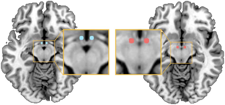 imagen de INVESTIGACIÓN