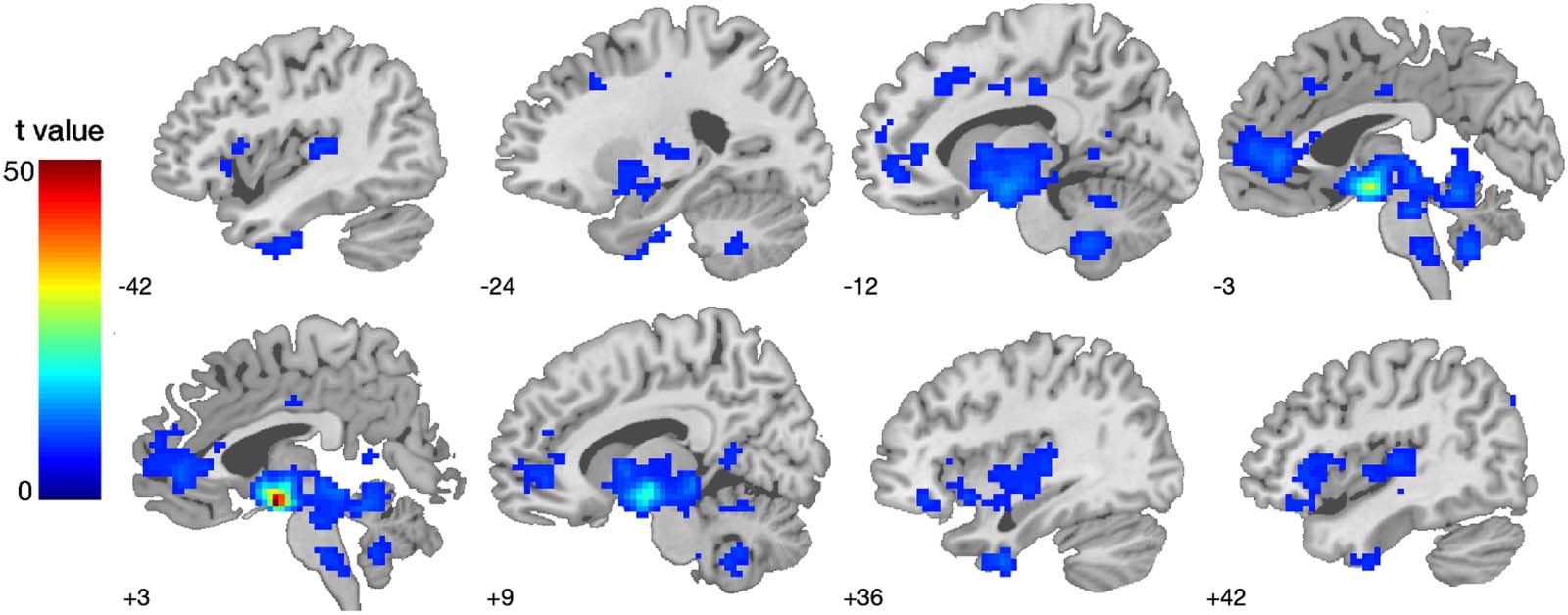 imagen de INVESTIGACIÓN