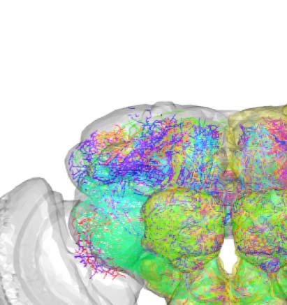 imagen de INVESTIGACIÓN