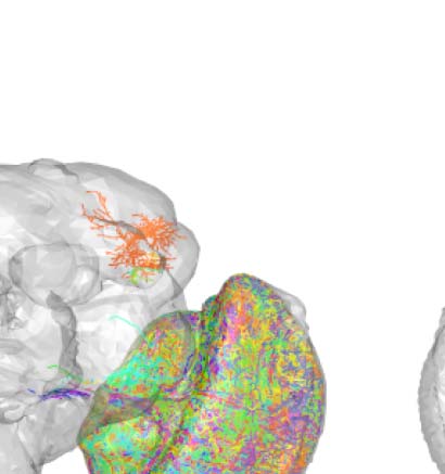 imagen de INVESTIGACIÓN