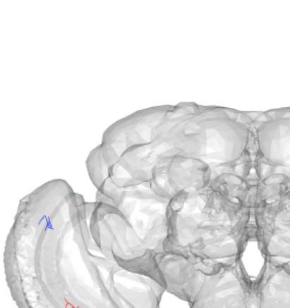 imagen de INVESTIGACIÓN