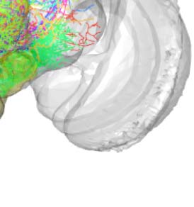 imagen de INVESTIGACIÓN