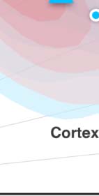 imagen de INVESTIGACIÓN