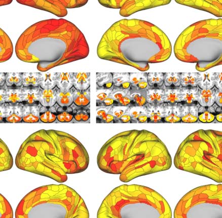 imagen de INVESTIGACIÓN