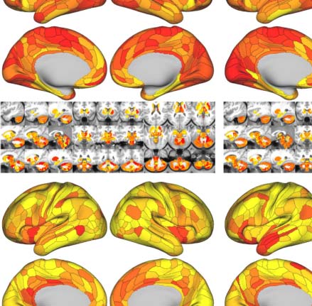 imagen de INVESTIGACIÓN