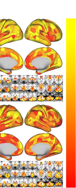 imagen de INVESTIGACIÓN