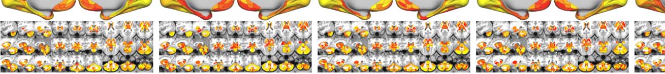 imagen de INVESTIGACIÓN