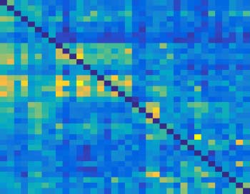 imagen de INVESTIGACIÓN