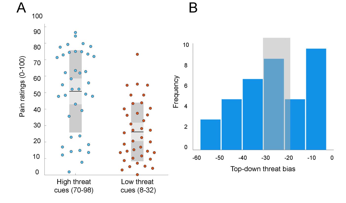 Pak, V. & Hashmi, J.A. (2023). Top-down threat bias in pain perception is predicted by higher segregation between restingstate image