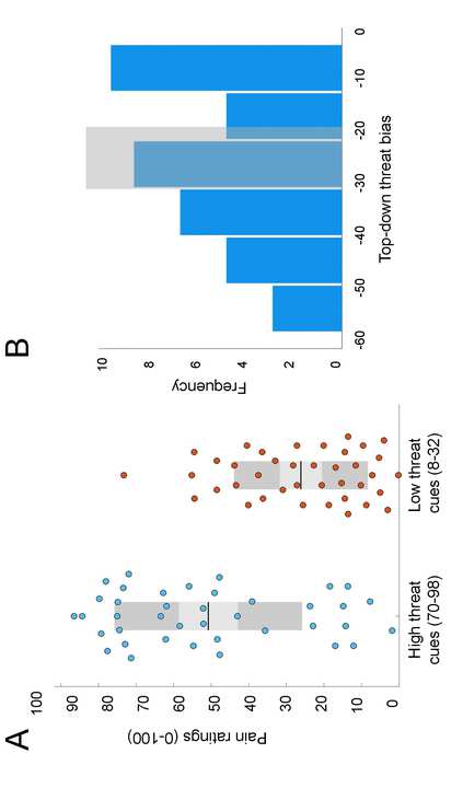 Pak, V. & Hashmi, J.A. (2023). Top-down threat bias in pain perception is predicted by higher segregation between restingstate image