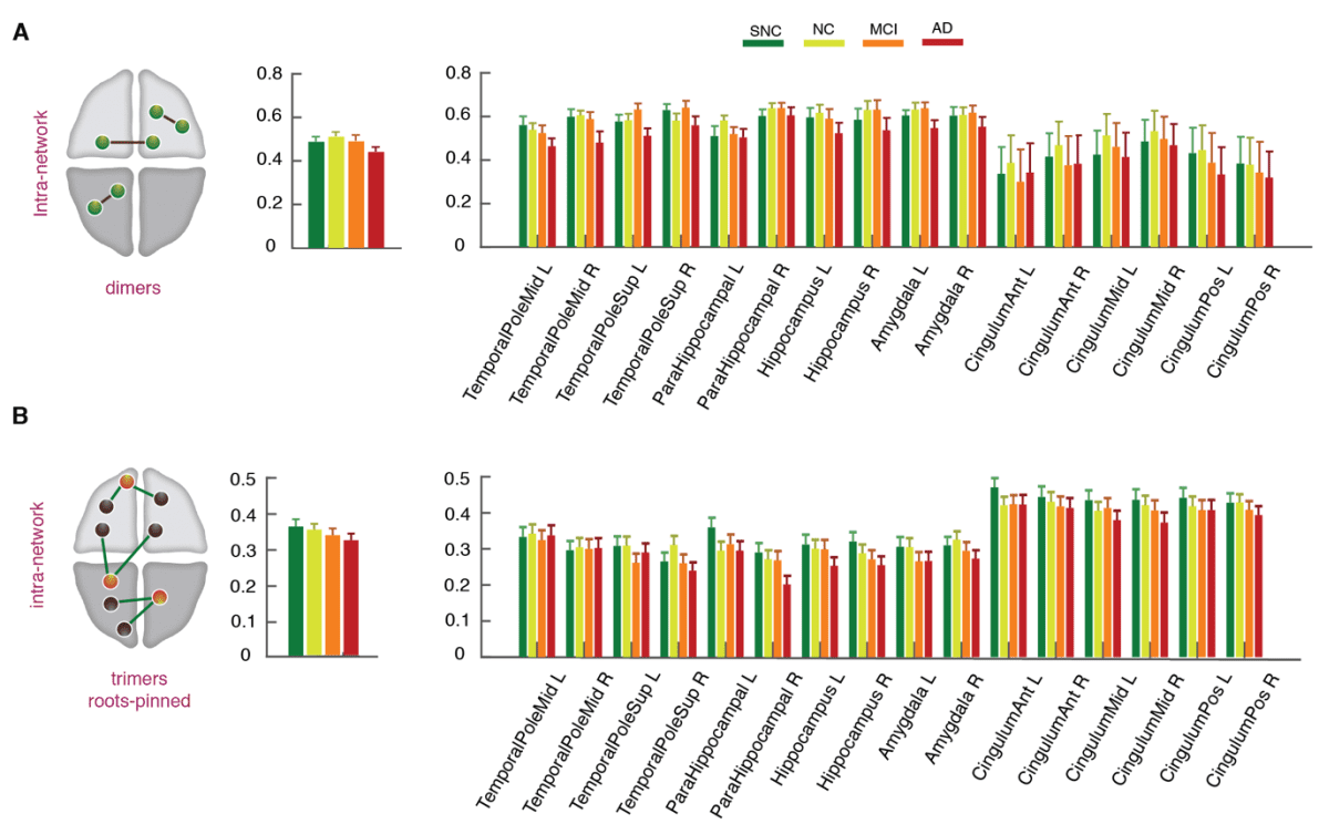 Arbabyazd, L。, Petkoski, S。, Breakspear, M。, 索洛德金, A。, Battaglia, D ., & Jirsa, V. (2023). State switching and high-order image