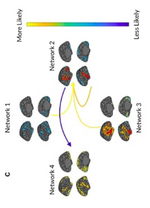 Faber, S.E.M., Belden, A.G., Loui, P。, & McInsosh, 右. (2023). Age-related variability in network engagement during music image